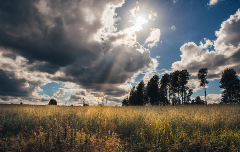 Czym zajmuje się meteorolog?